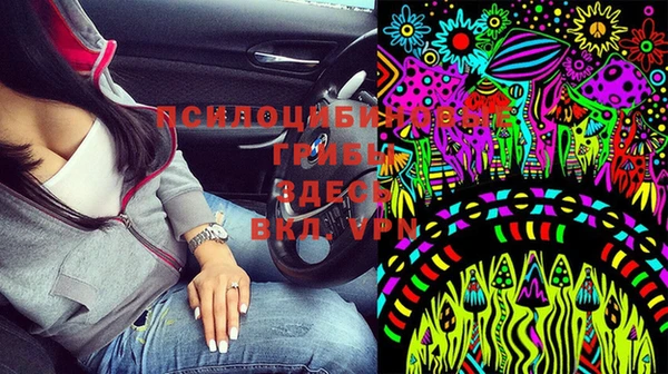 ГАЛЛЮЦИНОГЕННЫЕ ГРИБЫ Вязьма