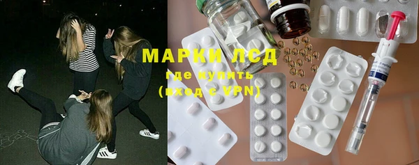 ГАЛЛЮЦИНОГЕННЫЕ ГРИБЫ Вязьма