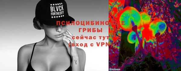 ГАЛЛЮЦИНОГЕННЫЕ ГРИБЫ Вязьма
