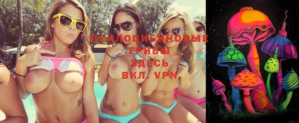 ГАЛЛЮЦИНОГЕННЫЕ ГРИБЫ Вязьма