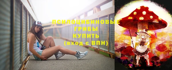 эйфоретик Горнозаводск
