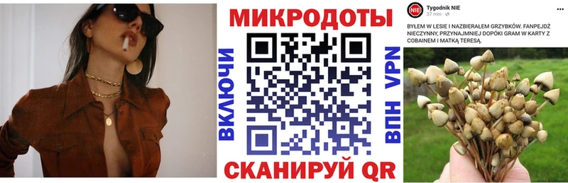 Купить  Малоархангельск  Галлюциногенные грибы Cubensis 