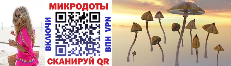 Псилоцибиновые грибы ЛСД Малоархангельск